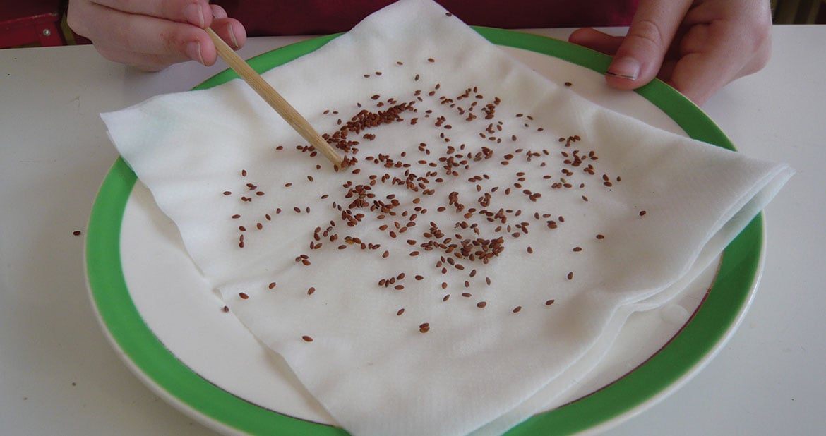 Sprinkle Cress on to Kitchen Towel