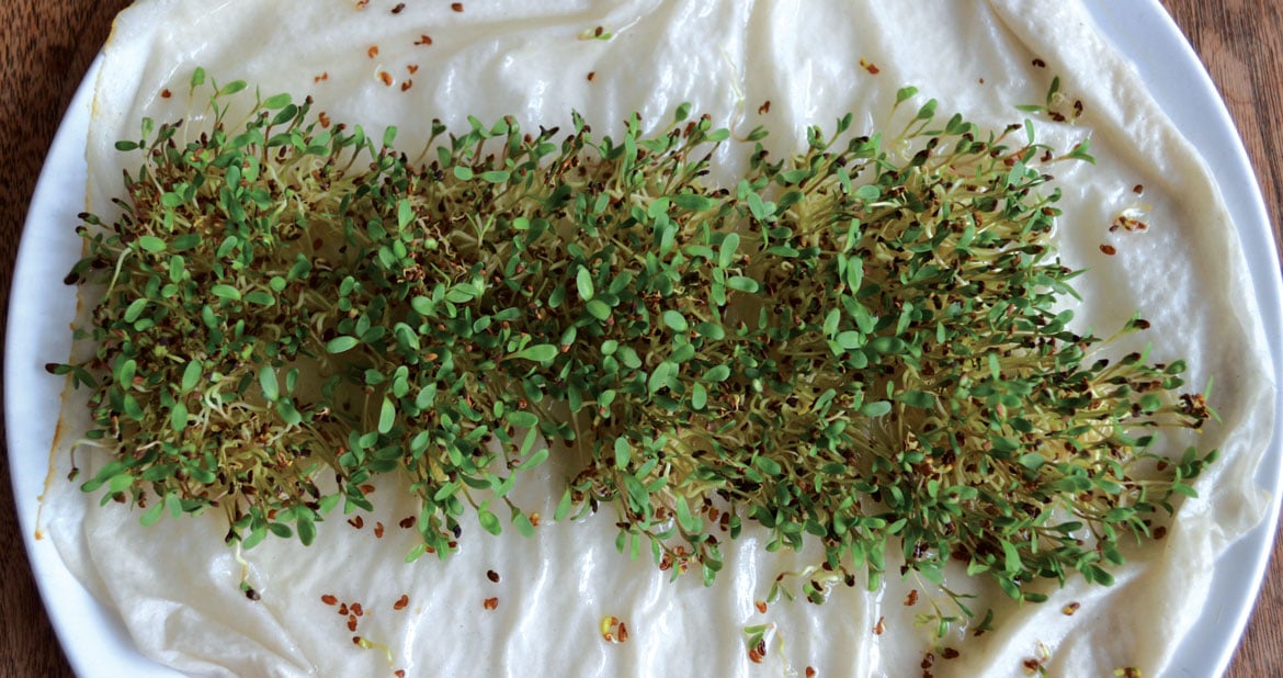 Grow Some Cress... in the Shape of Your Name